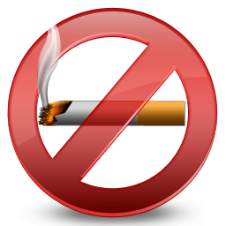 Hot No Smoking Icon 256x256 png